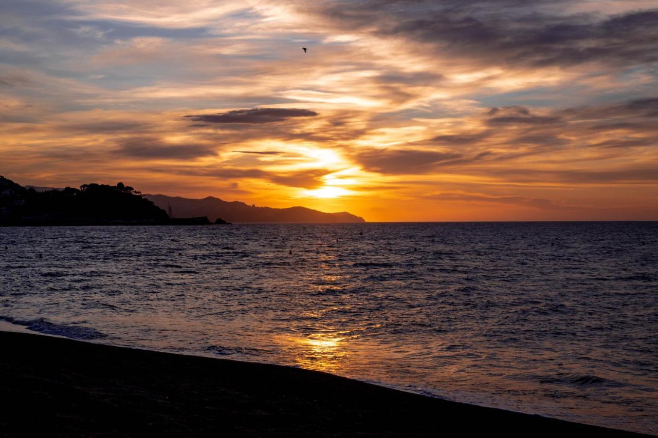 Apartamento Séptimo cielo primera línea de mar Blanes Extérieur photo